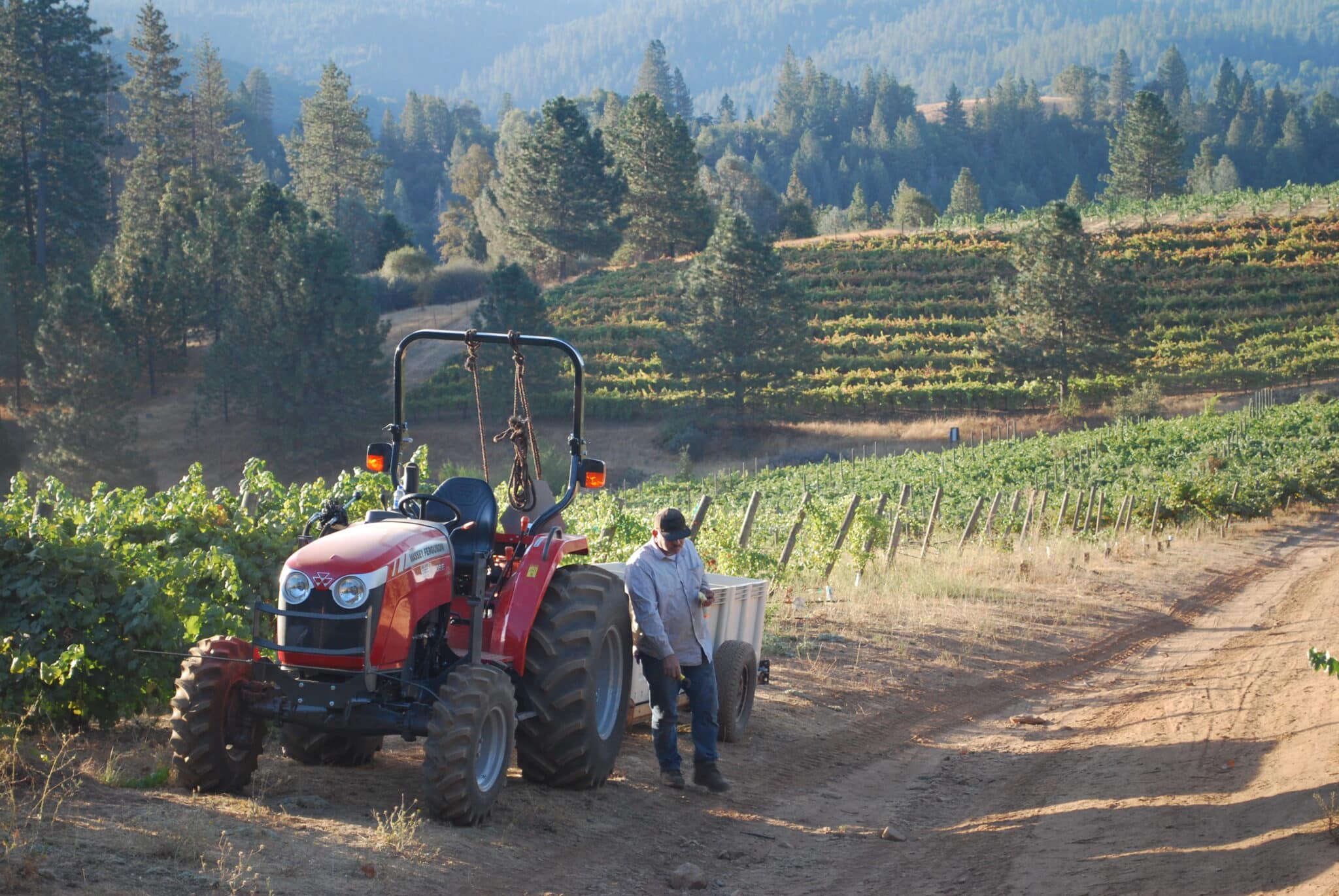 Crystal Basin Cellars History | Wine Tasting El Dorado County