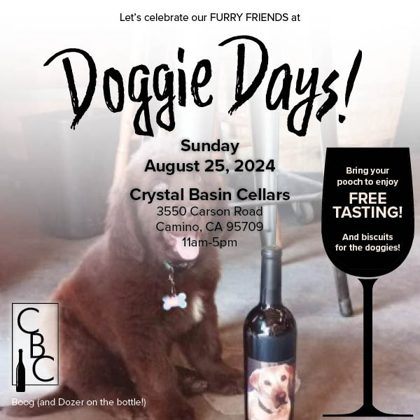 Dog Friendly Venue El Dorado County | Date Night El Dorado County | Wine Tasting in Apple Hill