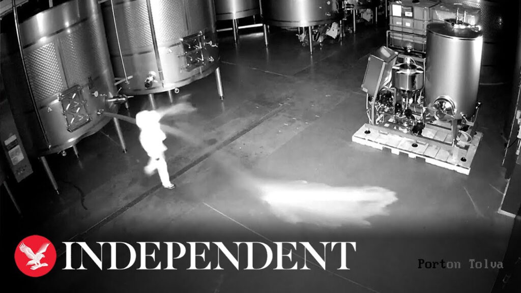 Wine Tasting Placerville